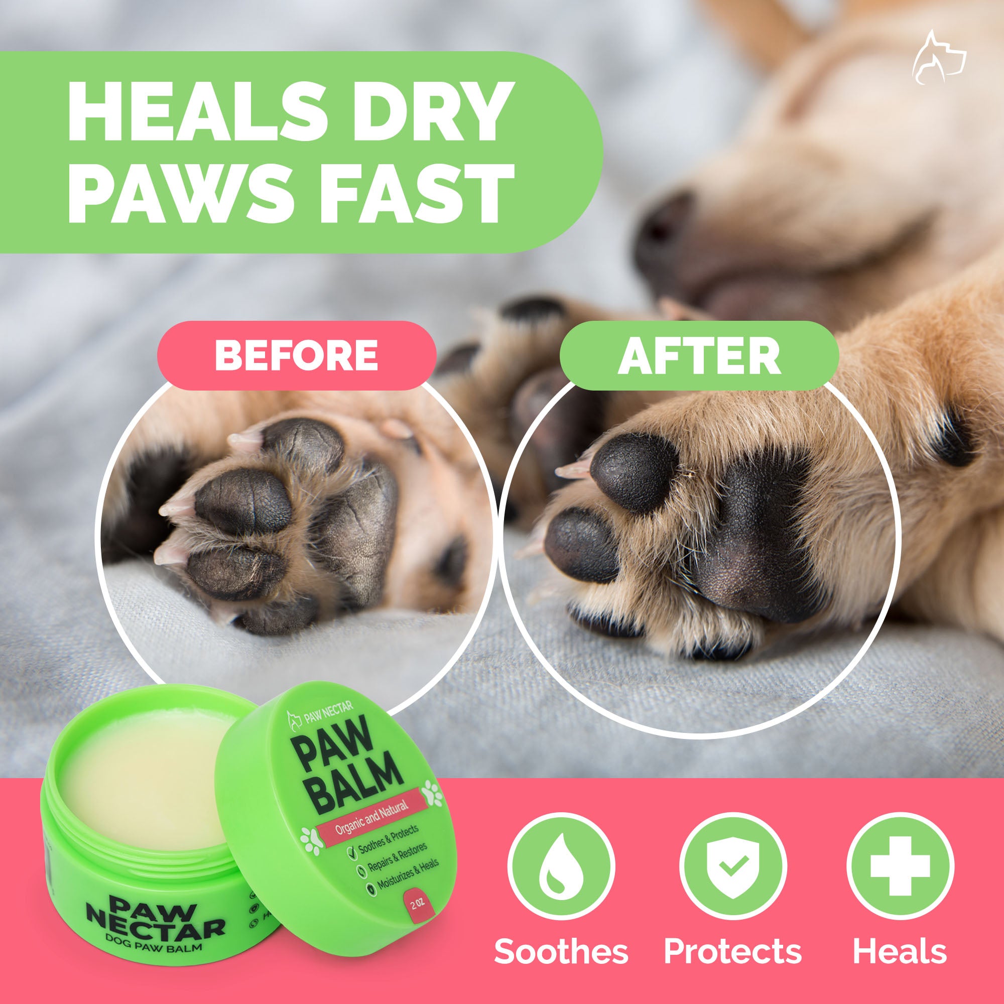 Paw protectant for dogs hotsell