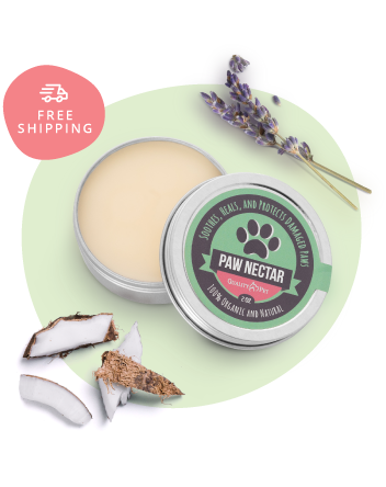PawNectarOrganicDogPawBalm