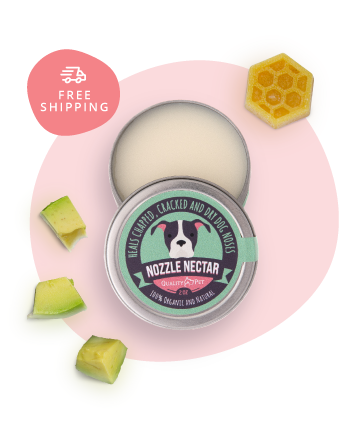 Nozzle Nectar Organic Dog Nose Balm QualityPet