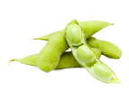 Soy