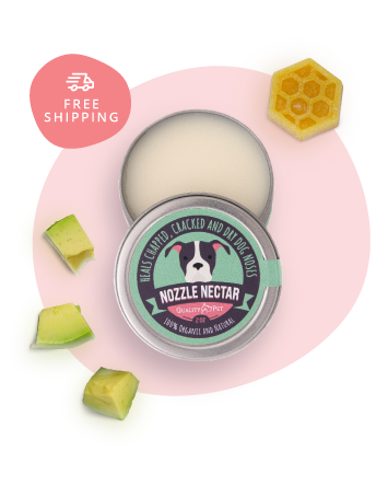 Nozzle Nectar Organic Dog Nose Balm