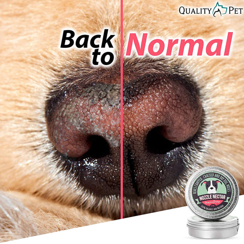 Nozzle Nectar Organic Dog Nose Balm