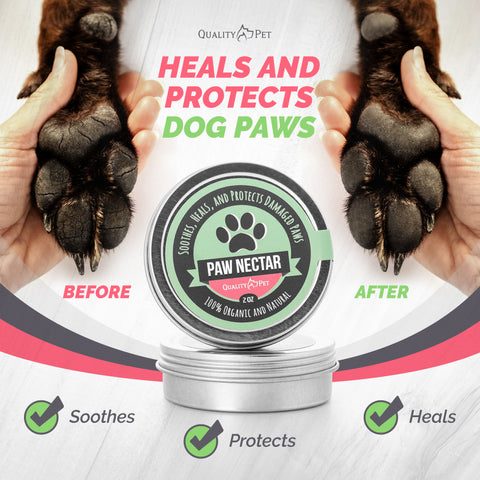 Paw Nectar Organic Dog Paw Balm