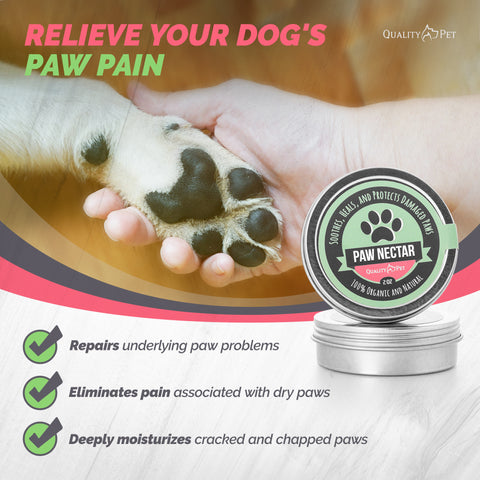 Paw Nectar Organic Dog Paw Balm