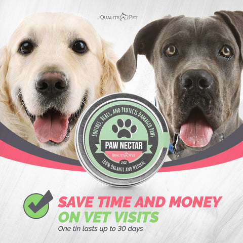 Paw Nectar Organic Dog Paw Balm